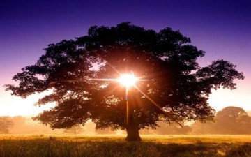 لقاء الغروب والشروق