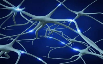 سيكولوجية النظام الذاكري