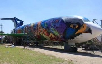 تحويل هيكل طائرة إلى متنزه