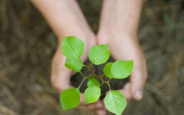 ما هي نظرتكم كشباب إلى الصداقة؟