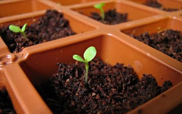 قصص تربوية في السلوك الحضاري الراقي / ج2