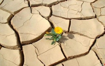 سكينة النفس المؤمنة أمام براكين الأنفعال