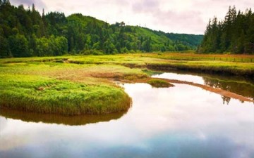 رجل يُحوّل مسار نهر في العاصمة واشنطن